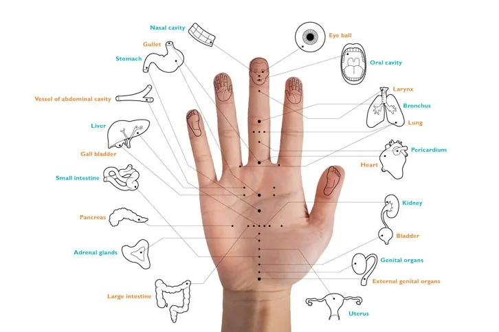 koryo hand accupuncture in selangor